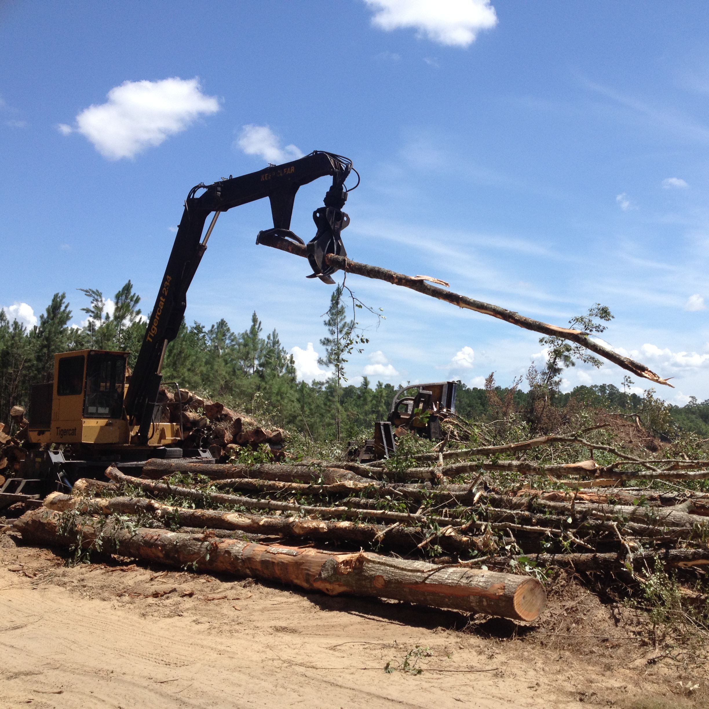 Southern timber supply